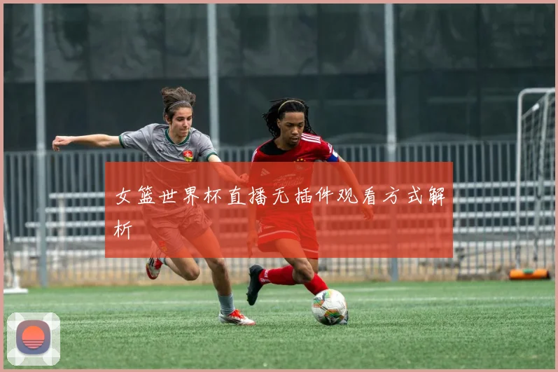 女篮世界杯直播无插件观看方式解析