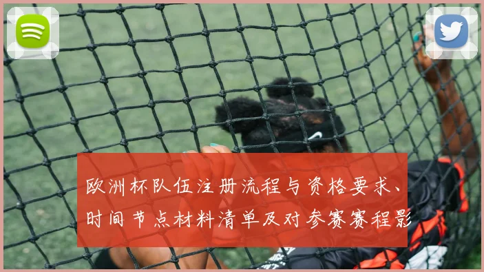 欧洲杯队伍注册流程与资格要求、时间节点材料清单及对参赛赛程影响分析