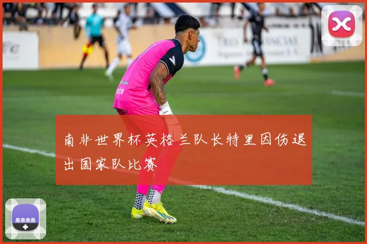 南非世界杯英格兰队长特里因伤退出国家队比赛