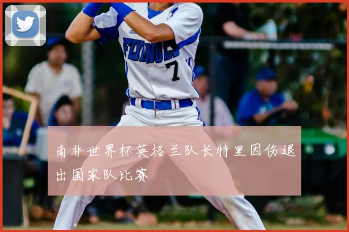 南非世界杯英格兰队长特里因伤退出国家队比赛